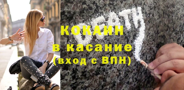 индика Сатка