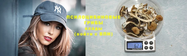 молекула духа Баксан
