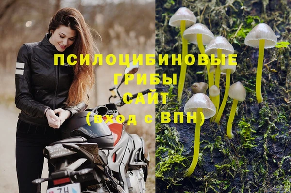 молекула духа Баксан
