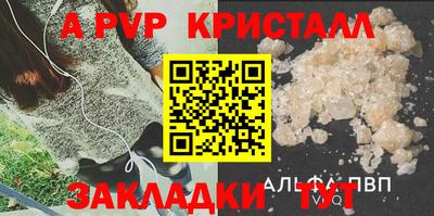 герыч Кингисепп
