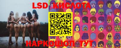 герыч Кингисепп